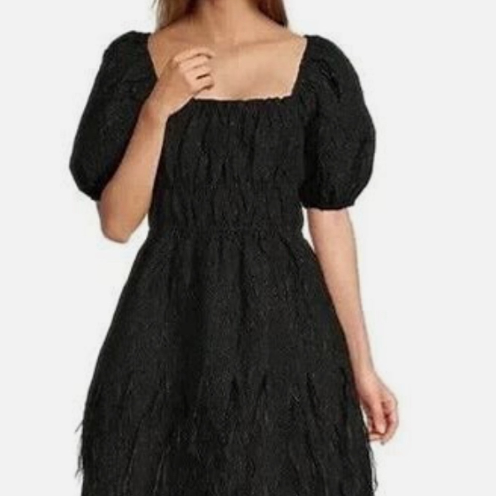 NWT Antonio Melani Abigail Feather Dress